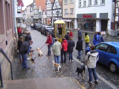 Auch Telefonzellen sollte der Hund kennen