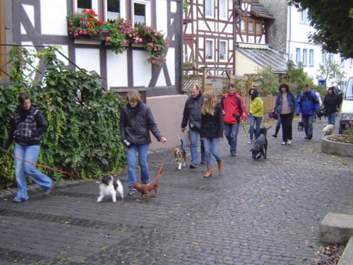 Auch der Stadtgang ist ein muß in unserer Hundeschule